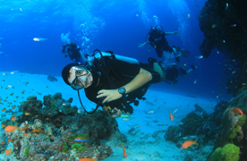 Scuba diver